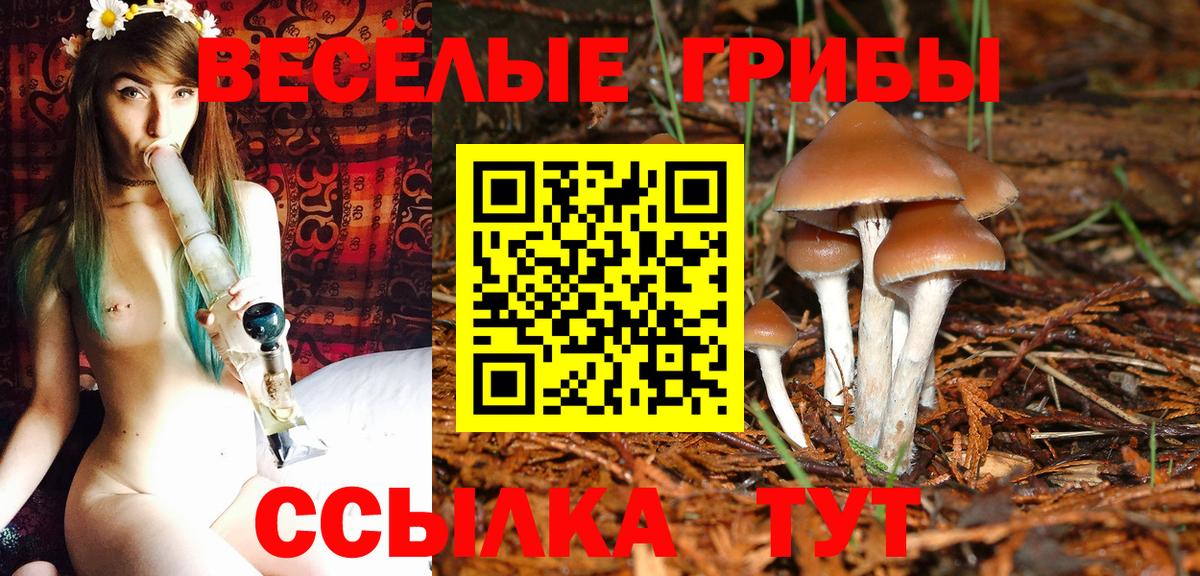 Лысьва  Галлюциногенные грибы Magic Shrooms  Вход с VPN 